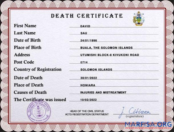 Printable Solomon vital record death certificate PSD template